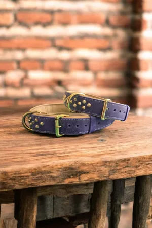 3.8cm wide studded leather dog collars