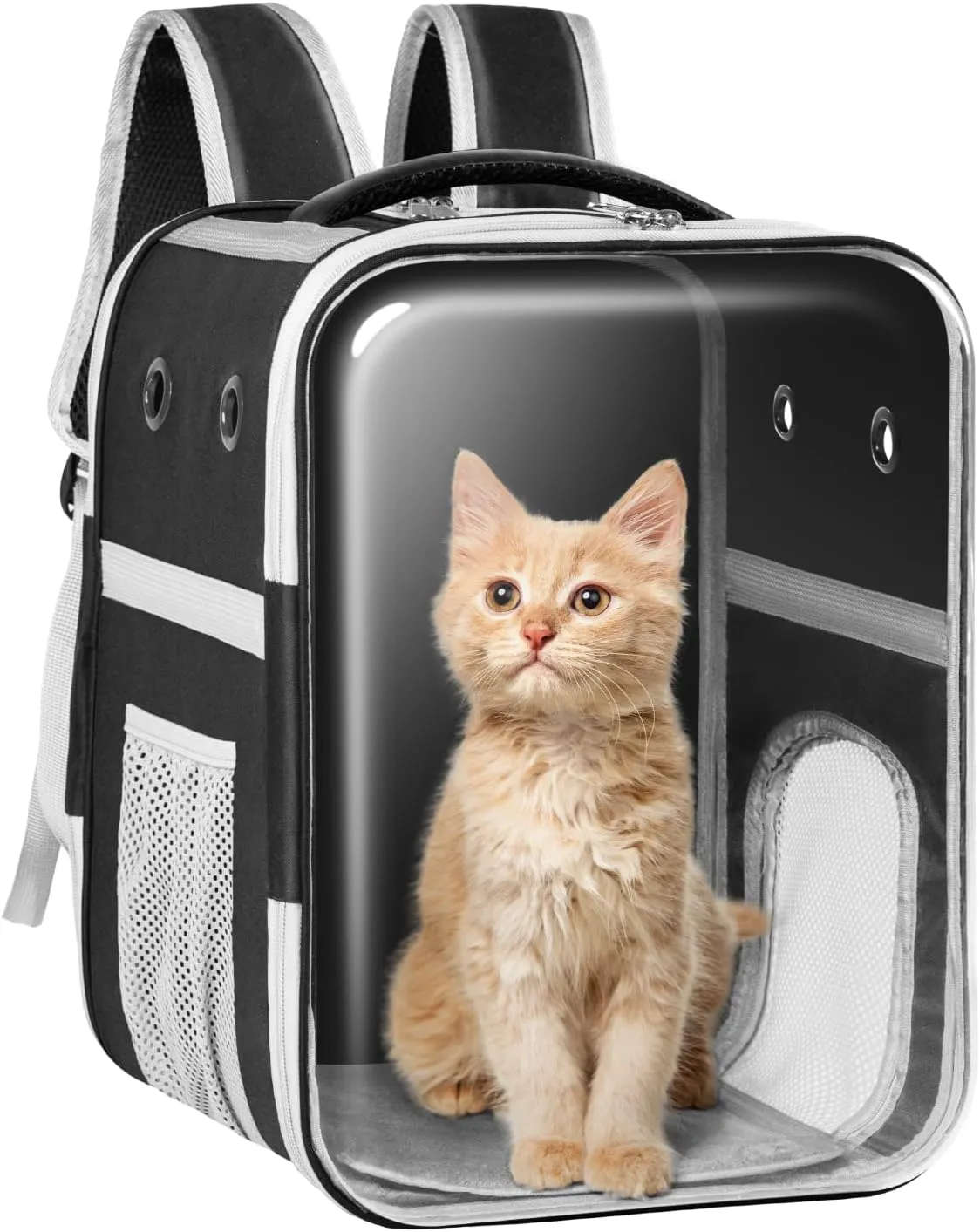 Clear Cat Backpack Carrier Dog and Cats Backpack Bubble, Space Capsule Cat Bag Carrier, Breathable and Suitable Panorama Pet Backpacks for Biking/Traveling/Camping/Walking (Black)