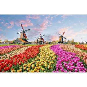 Dutch Windmills - 1000 Piece Puzzle