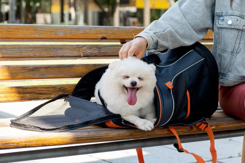 Ibiyaya Ultra Light Pro Dog Backpack Pet Carrier Navy Blue