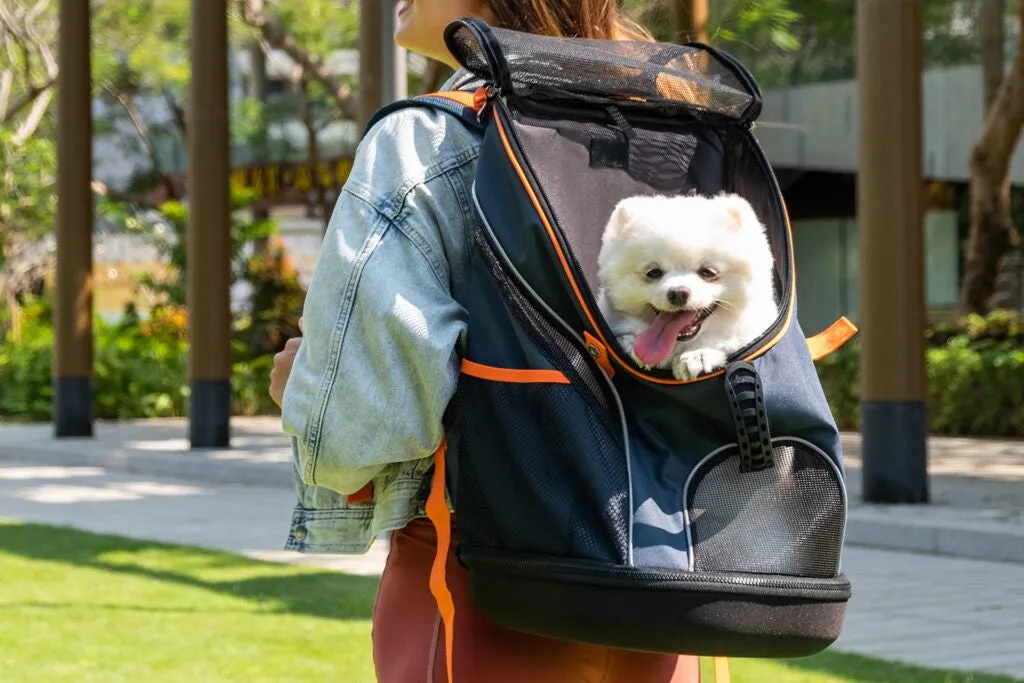 Ibiyaya Ultra Light Pro Dog Backpack Pet Carrier Navy Blue