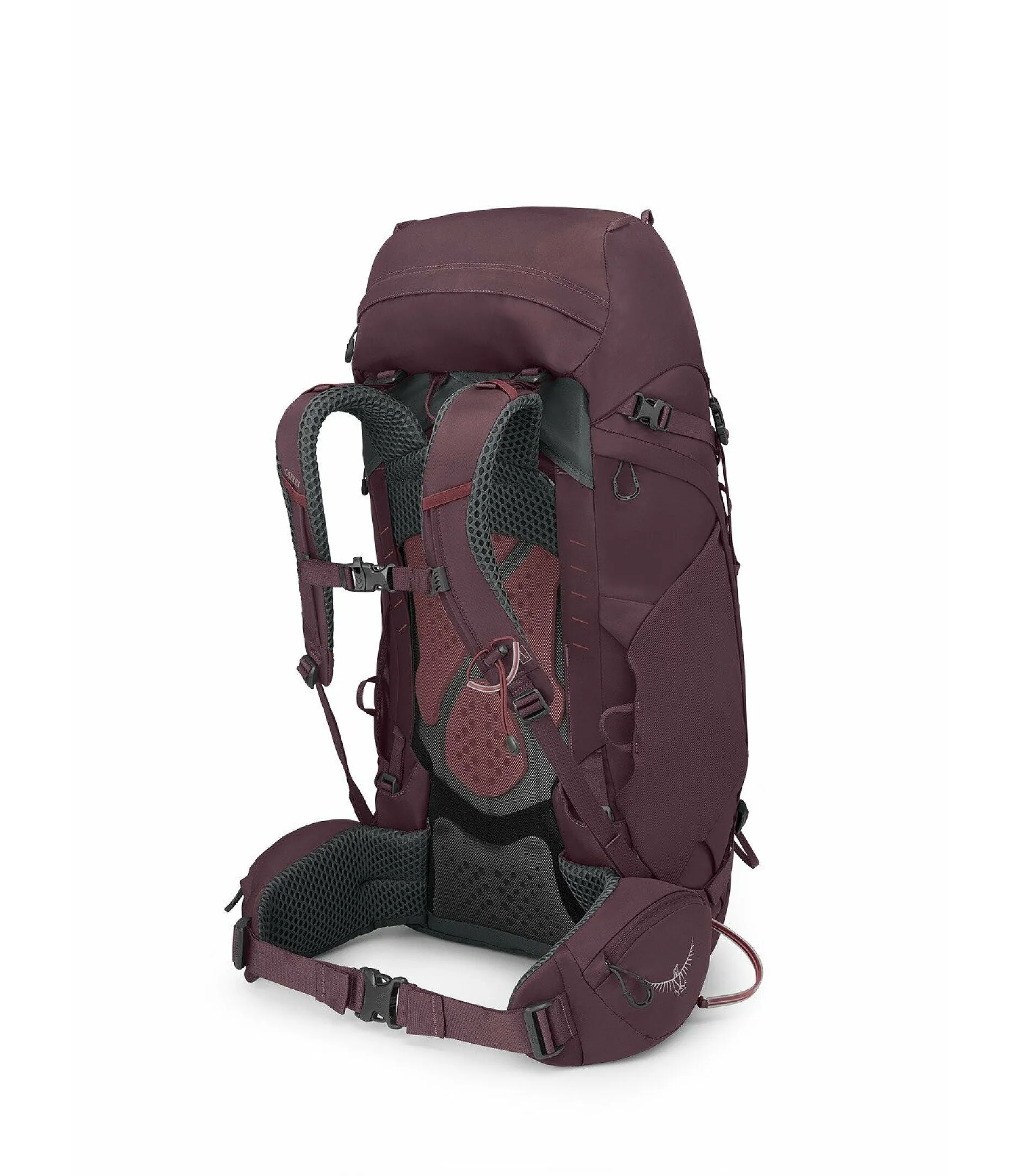 Kyte 48 (Women's)