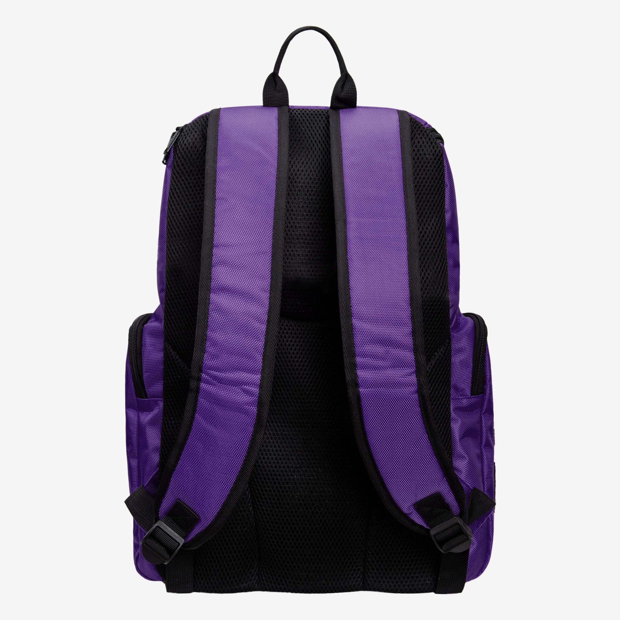 Minnesota Vikings Carrier Backpack