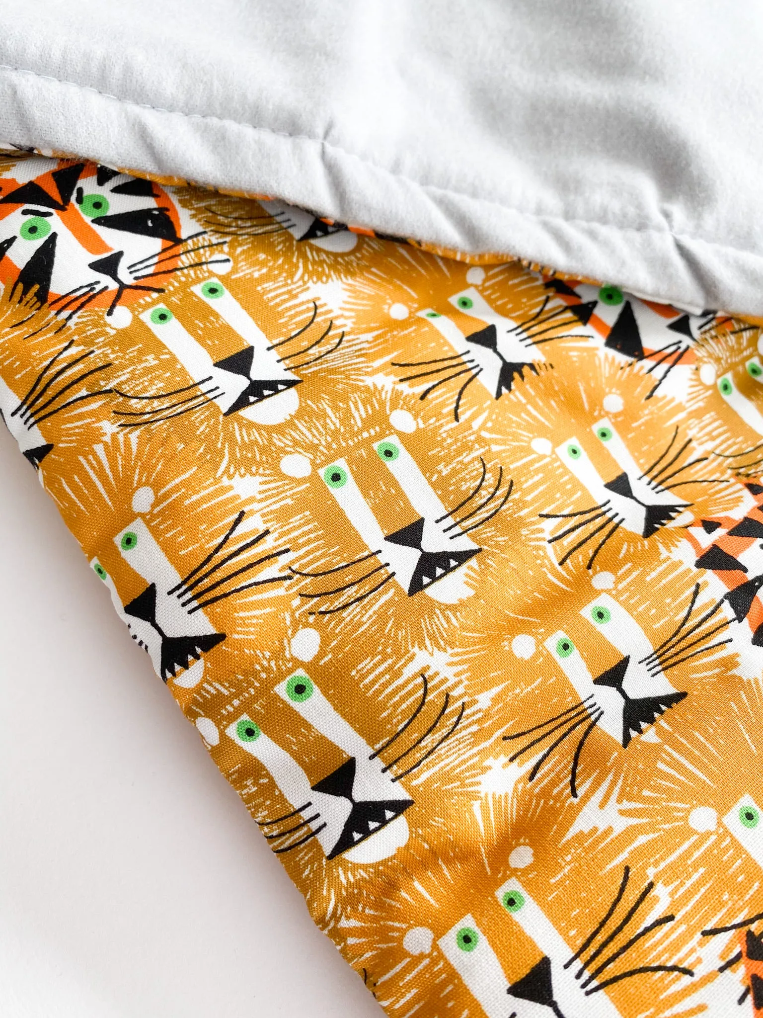 Organic Nap Mat - Roar!