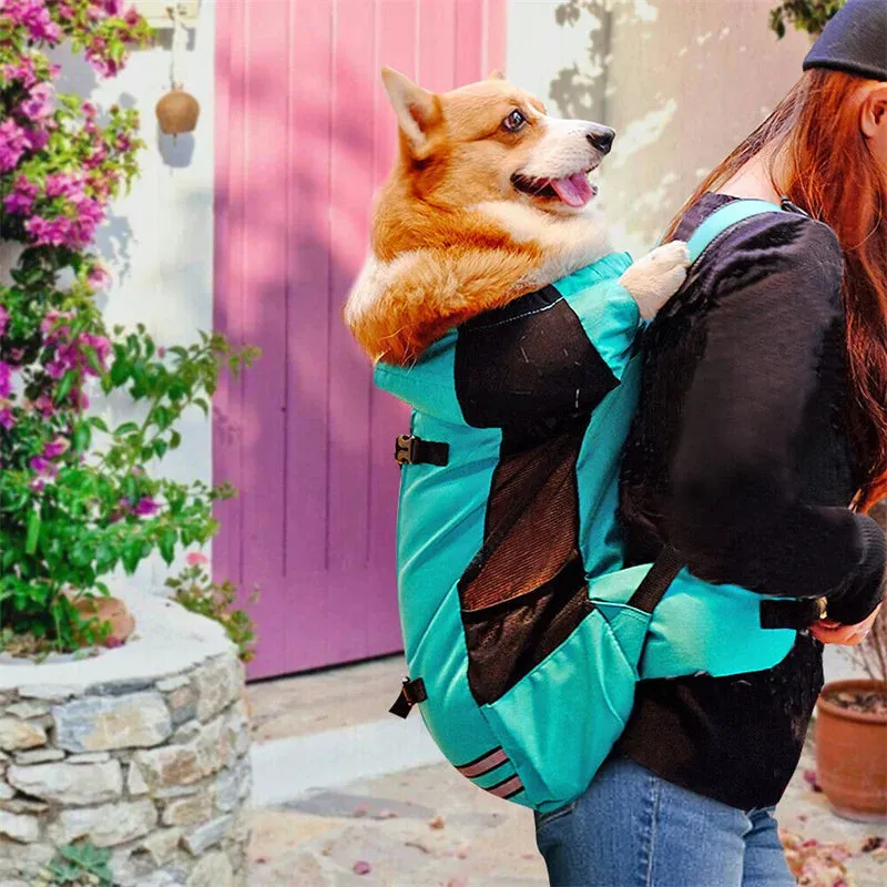 Puppy Carrier Bag