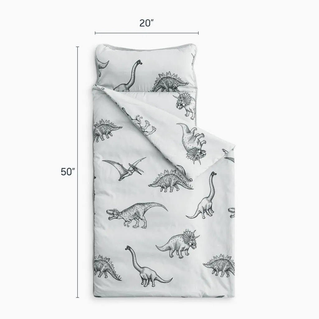 Wake In Cloud - Toddler Nap Mat with Pillow and Blanket, for Kids Boys Girls in Kindergarten Daycare Preschool Pre K, Roll Up Sleeping Bag, Jurassic Dinosaur Dino, Grey, Standard